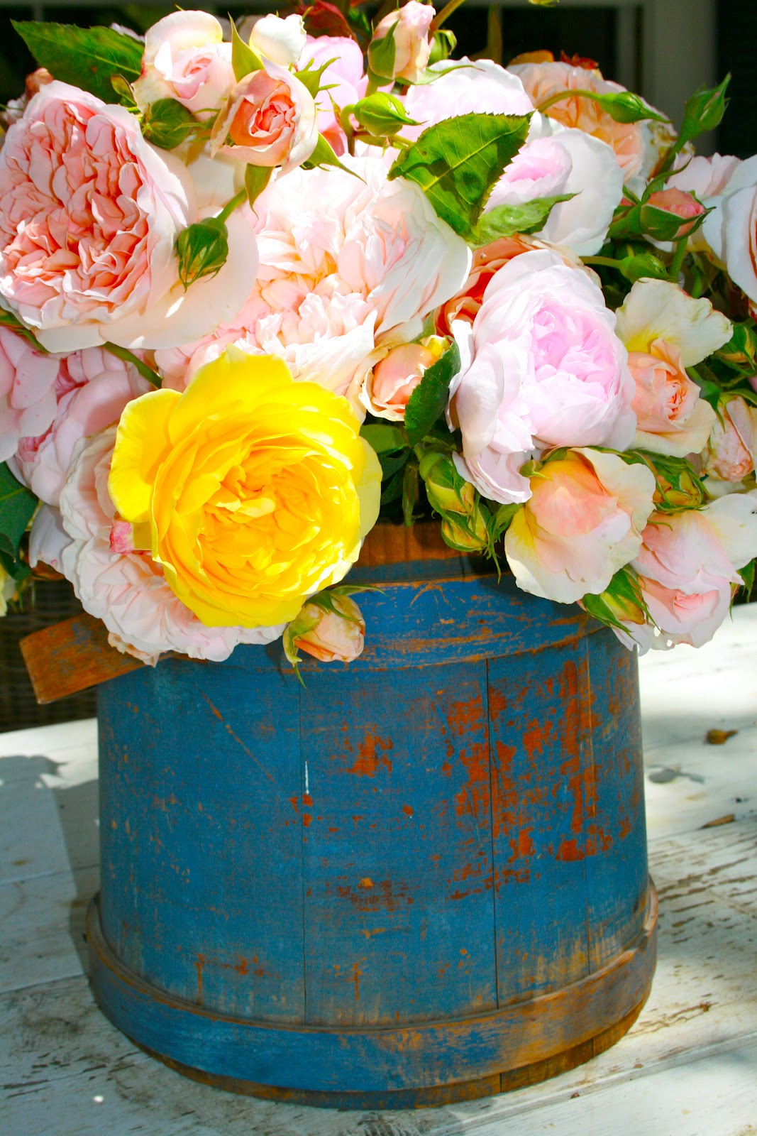 The Polished Pebble Arranging Roses