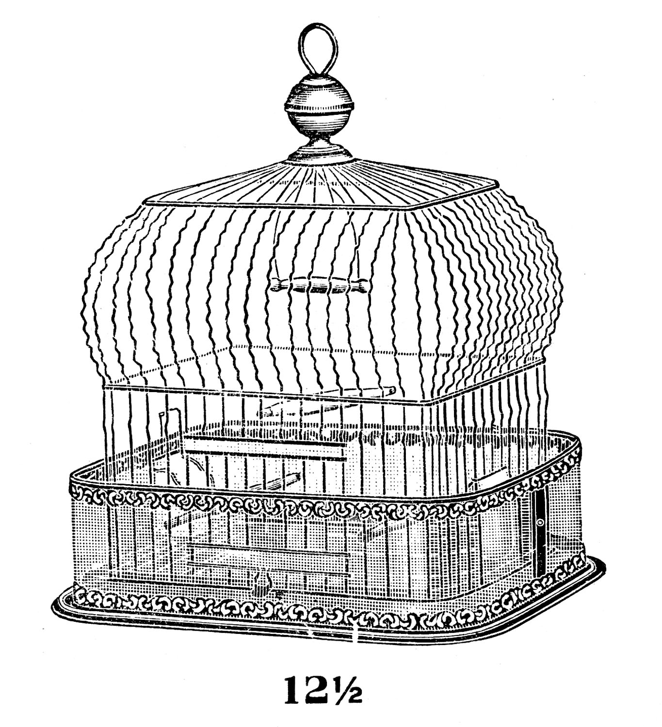 Bird Cage Illustration