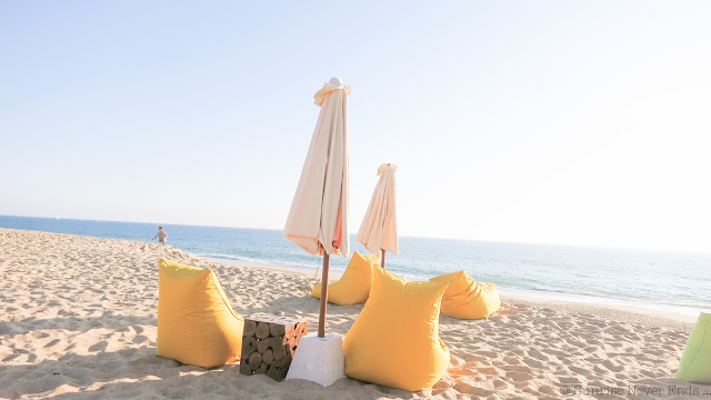 la gravière,hossegor,sunset beach,sunset,plage,bar,cabane de plage,beach shack