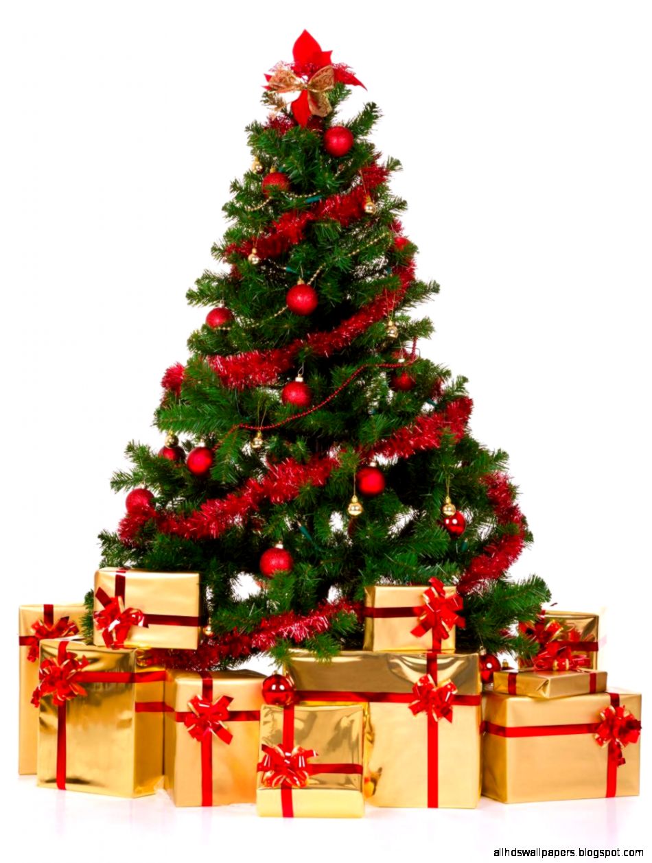 Decorated Christmas Tree Basic Kitchen Decorated Christmas Tree Basic Kitchen