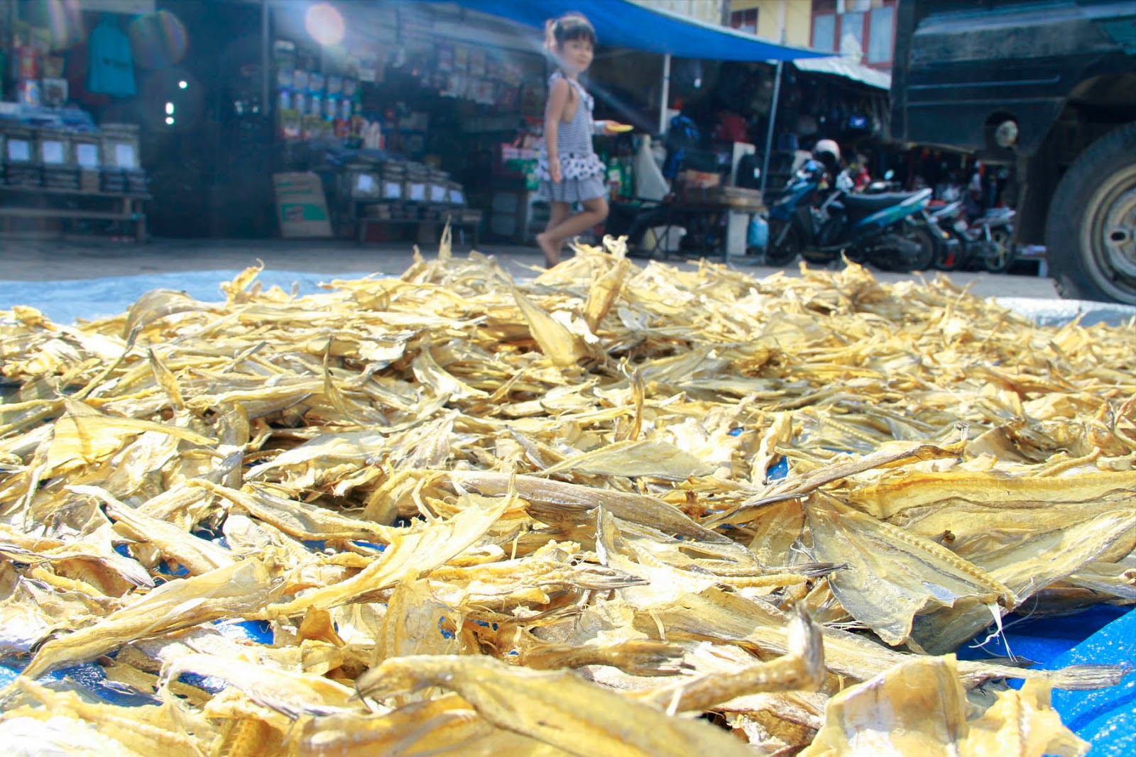 Jual Ikan Tipis "Pepija" khas Tarakan