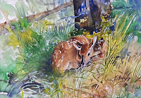 'Whitetail Fawn' (c) Lois Sturgis