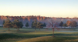 A view across 5 green complex