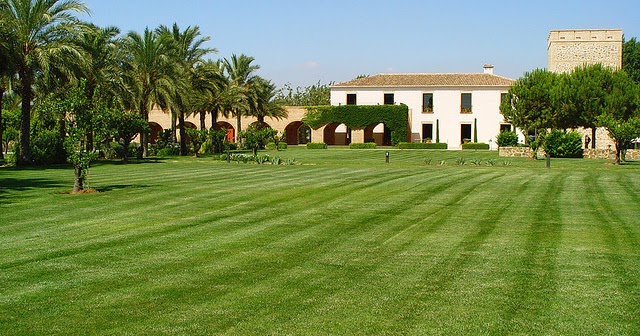 ARTE Y JARDINERÍA : CÉSPED. Contribución y sus beneficios