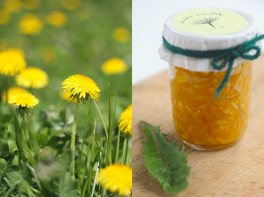 Kitchen by Aubergine Dandelion Marmalade