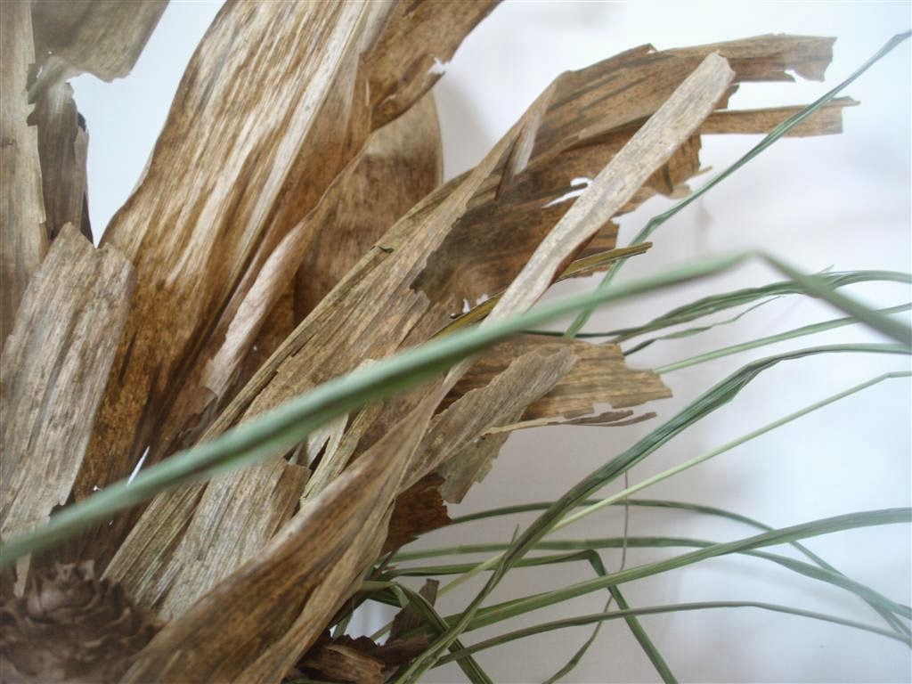 The DoItYourself Mom DIY Corn Husk Bouquet