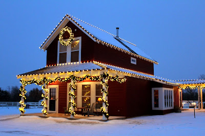 Christmas Lights in Snow