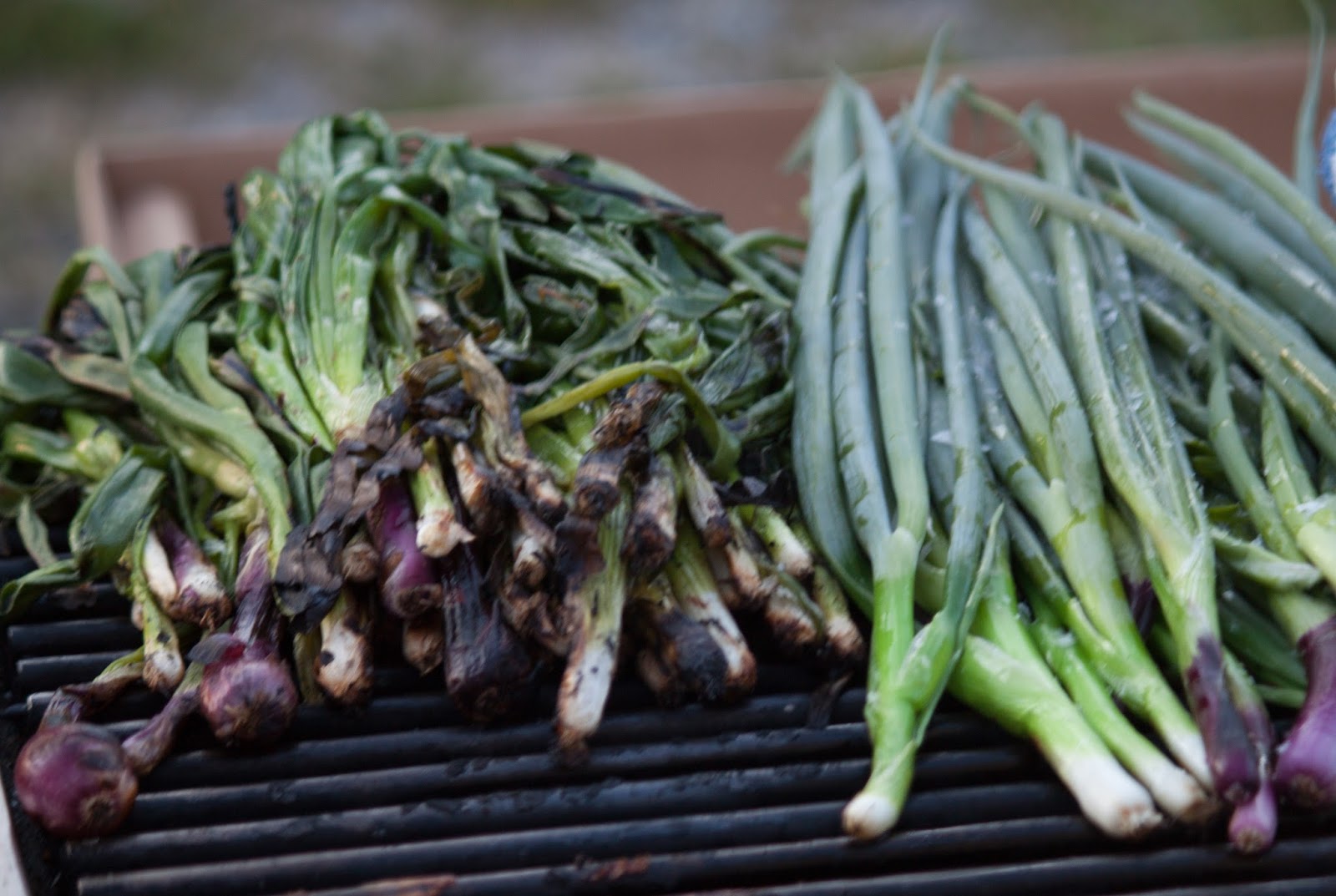 SIW Vegetables Magical Moments on the Farm