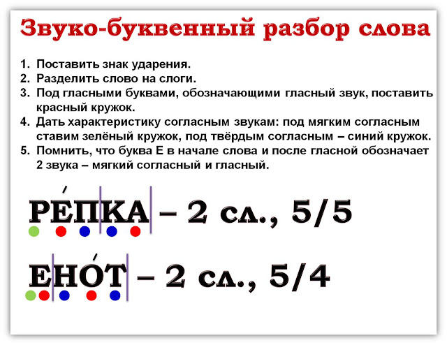 Как сделать звука буквенный разбор слова чайка
