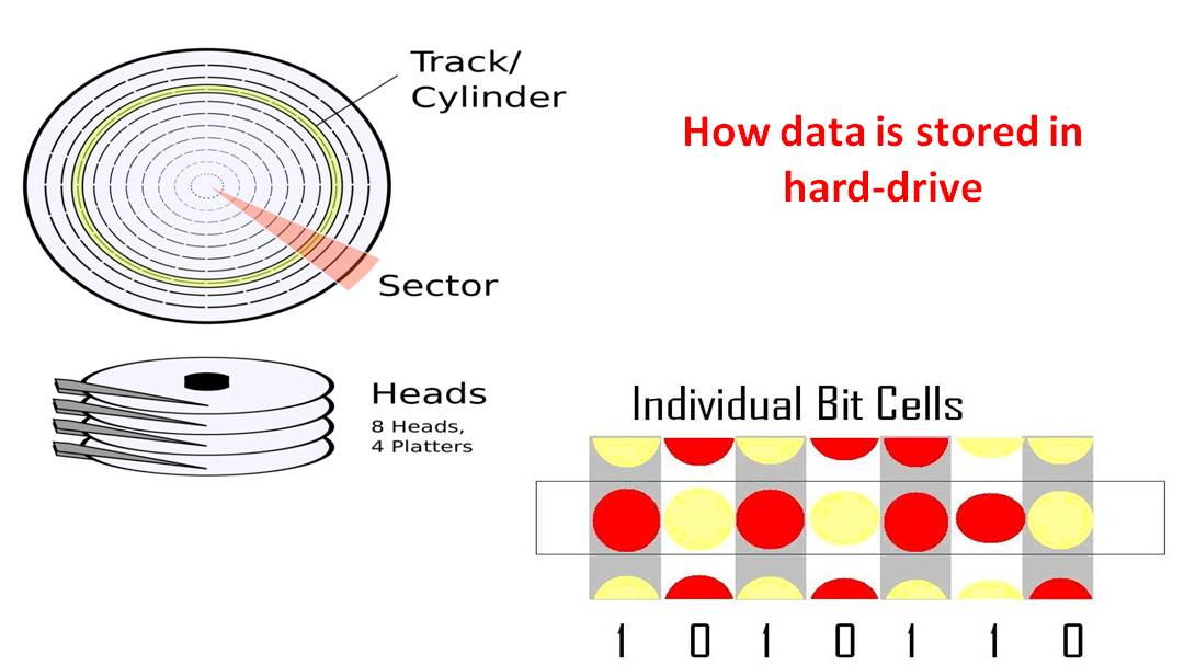 Saphyaire's Science Journal How much memory do we have and How memory
