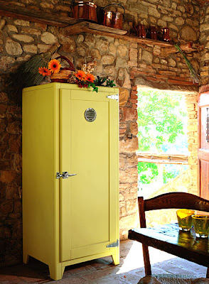 Muebles prácticos por La Decoradora Experta: Neveras pequeñas