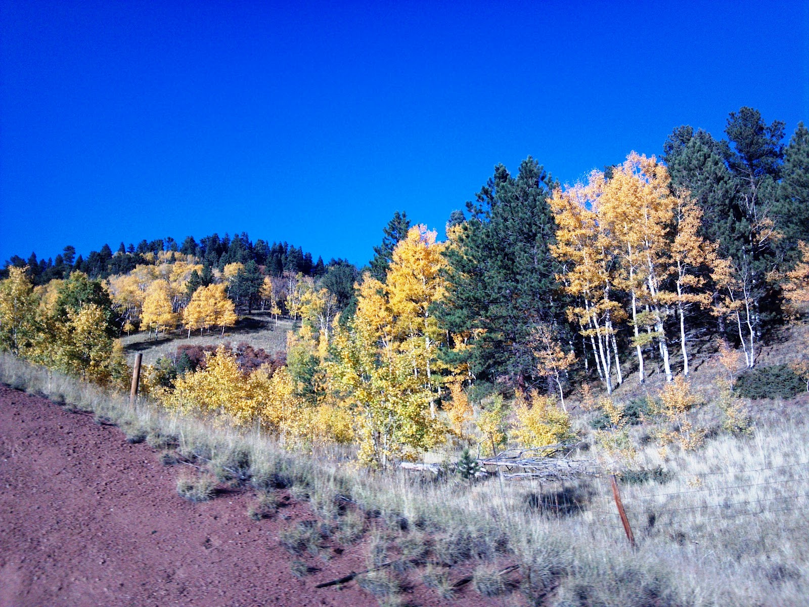San Isabel Fall 2012 Photo Tour (Aspen, Colorado City homes, live