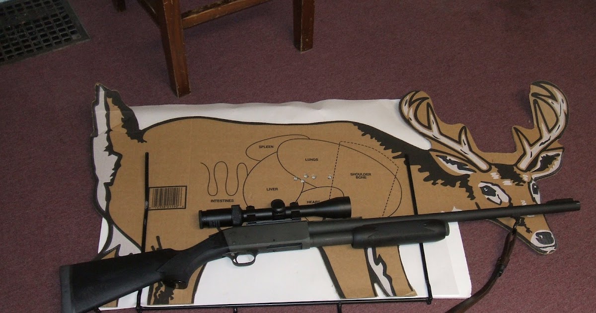 GunsAndOptics 12 Gauge Shotgun Slugs For Baited Bear Hunting?