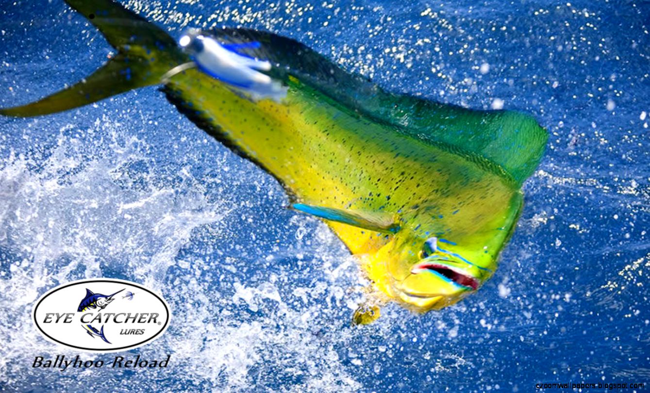 Jumping The Broom Pc Wallpapers View Wallpapers Jumping The Broom Pc Wallpapers View Wallpapers