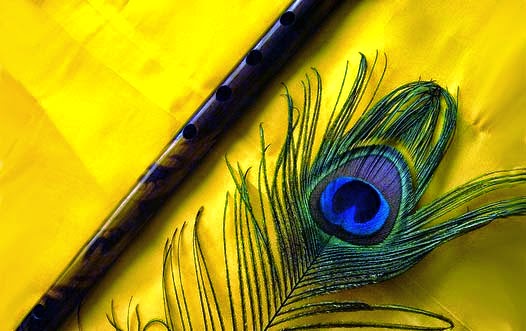 Viraj's Blog: A peacock feather & flute defines him all!