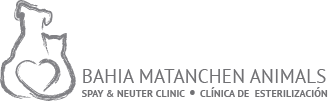 BMA - Bahia Matanchen Animals