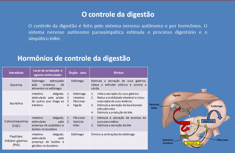 Facta #3 by Gambiologia - Issuu