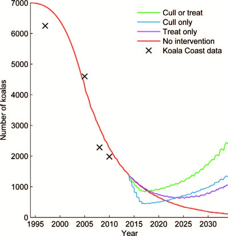 The EEB & Flow Culling Koalas for Conservation