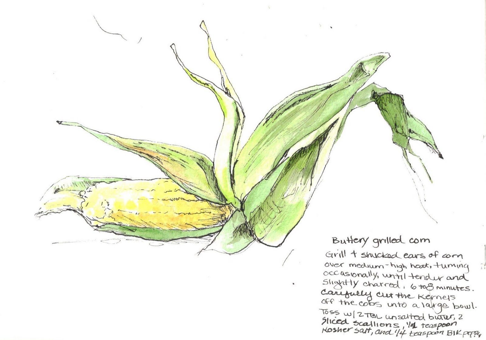 corn cob drawing