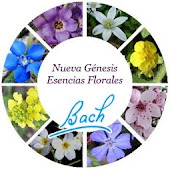 Terapia Flores de Bach