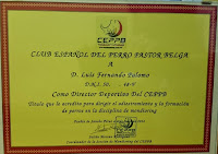 Director Deportivo del Club Español del Perro Pastor Belga