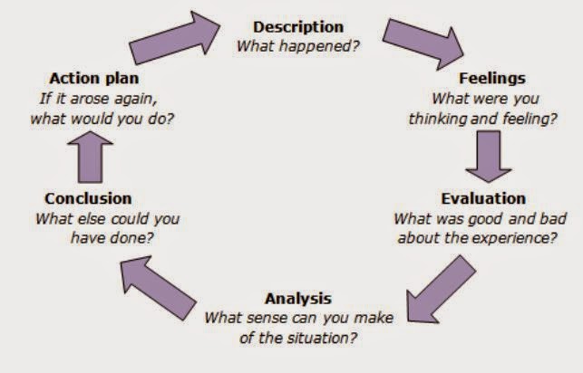 Gibbs reflective cycle example essay image