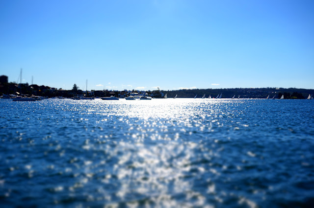 Photo of Rose Bay with boats in the distance