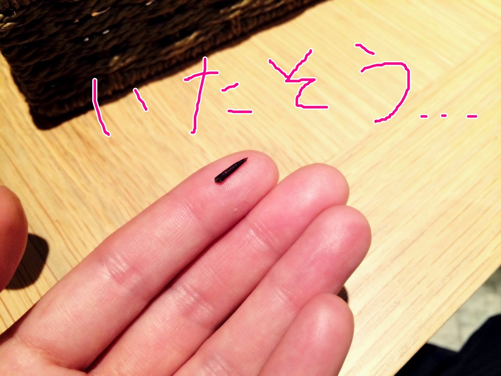 犬と星見る 肉球ブッスリ トゲ恐ろし