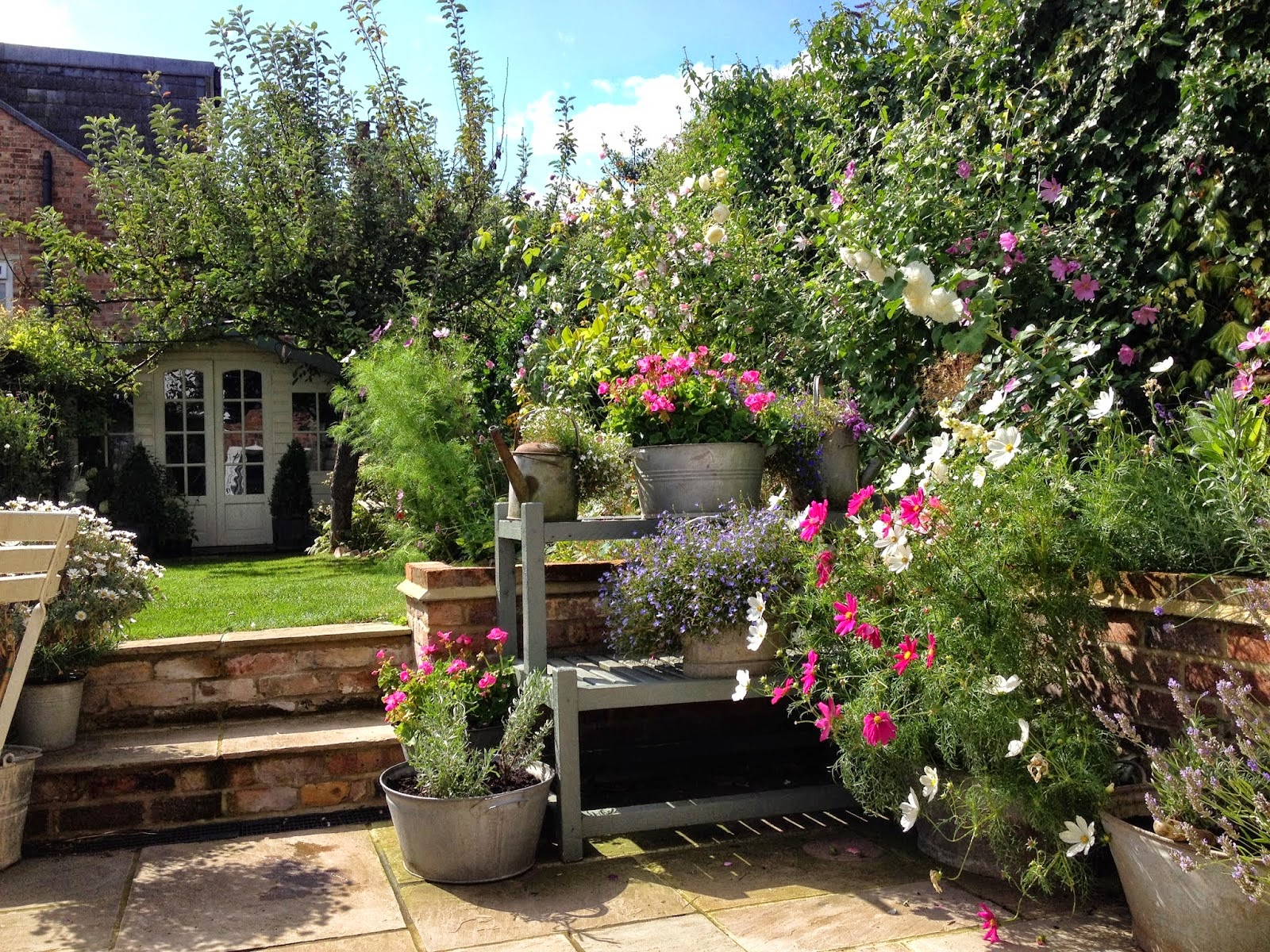Landscaping Shrubs For Privacy Landscape Ideas
