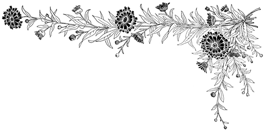 borders designs black and white