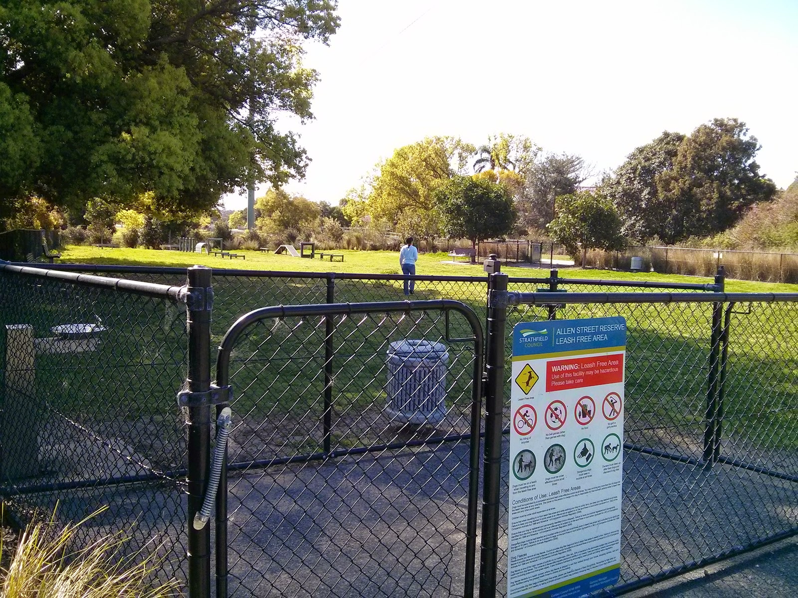 Dr Liz... the mad vet from Russell Vale Animal Clinic Wollongong Dog