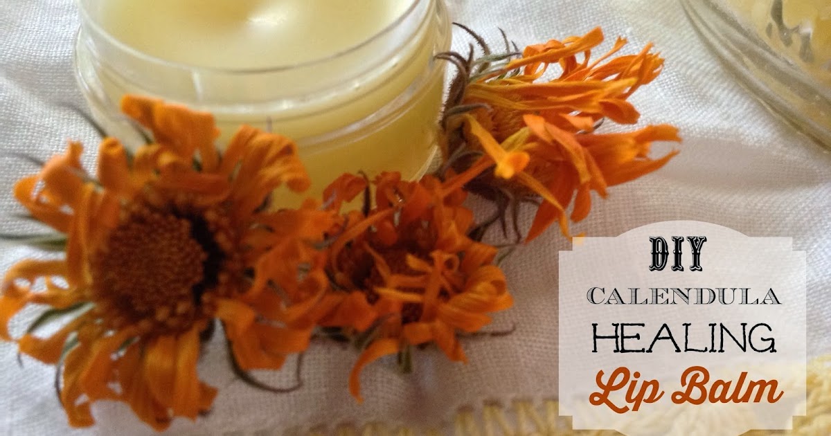 Strangers & Pilgrims on Earth Calendula Healing Lip Balm {DIY} for
