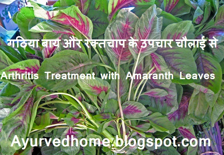 Arthritis Problem Treatment with cholai or Amaranth Leaves गठिया बाय और रक्तचाप के उपचार चौलाई से Gathia Baav Mein Cholai Ka Importance