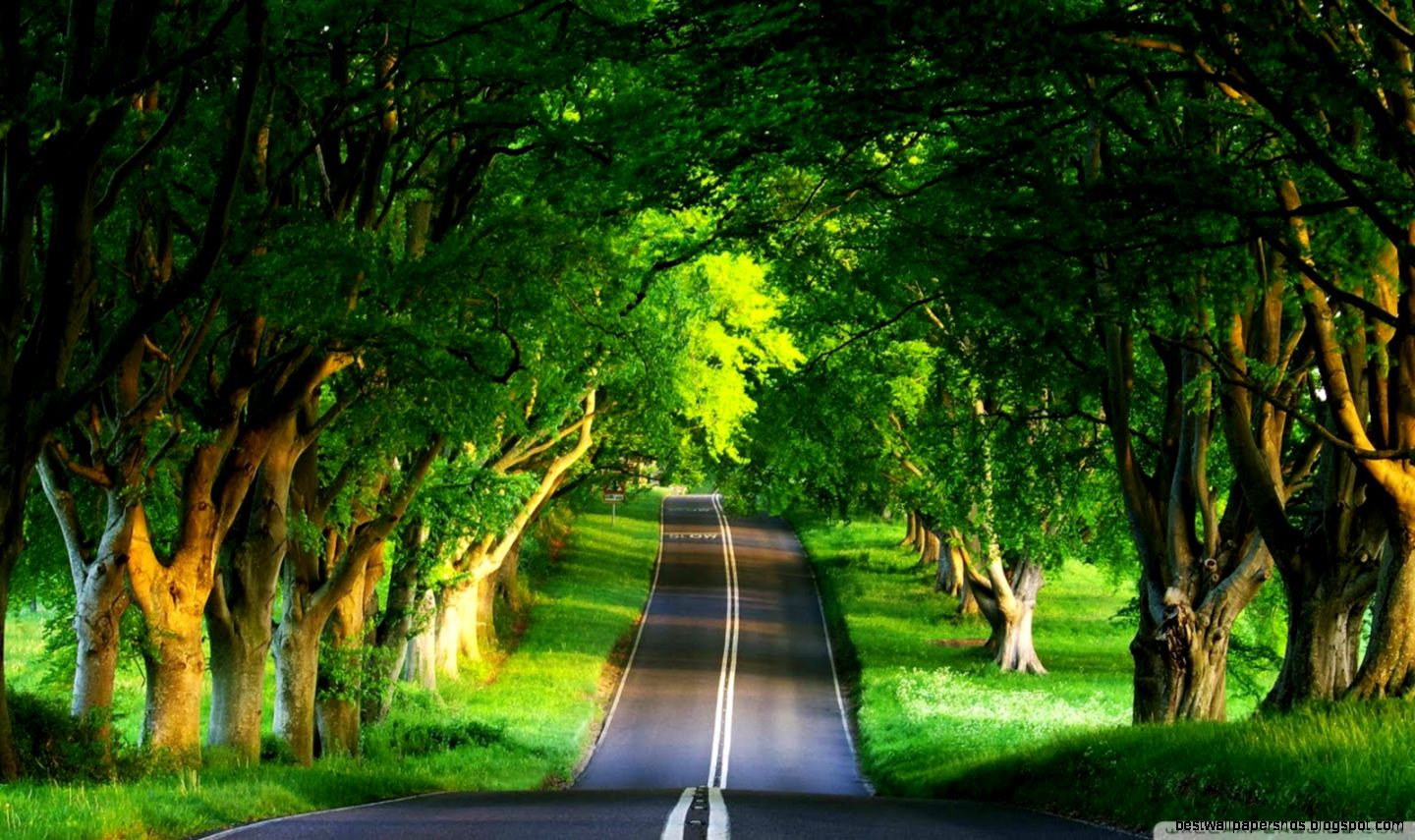 wallpapers hd nature wallpapers hd nature