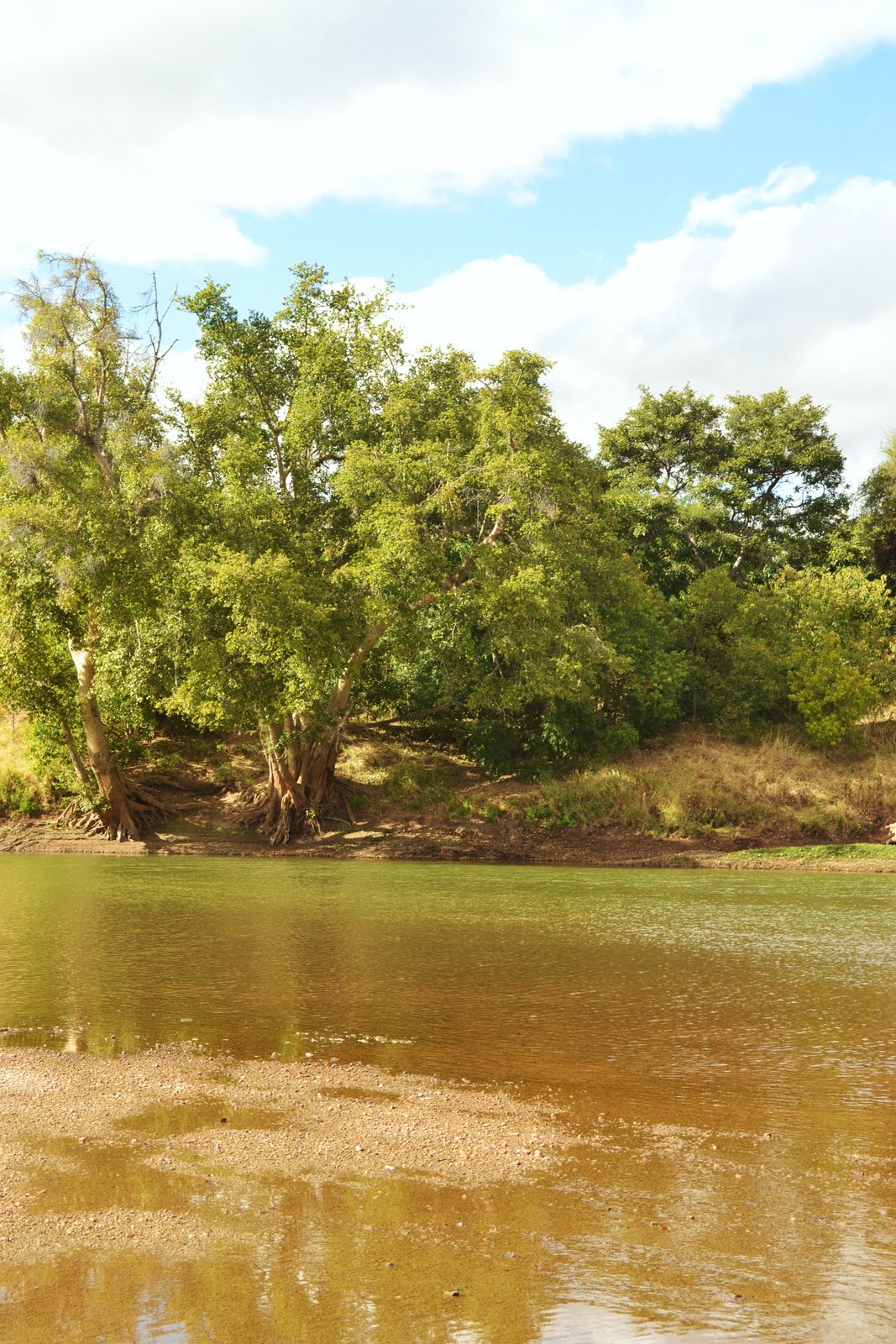 Not All Those Who Wander Are Lost The Great GreyGreen Greasy Banks of