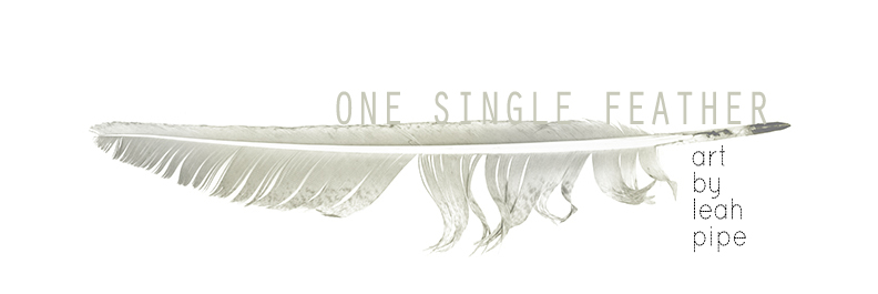 ONE SINGLE FEATHER