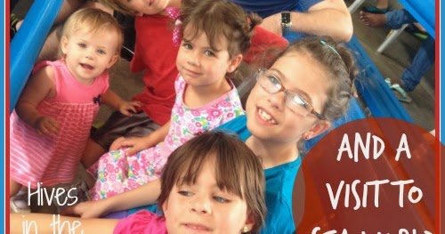 Hives in the Kitchen: Food Allergies and a Visit to Sea World