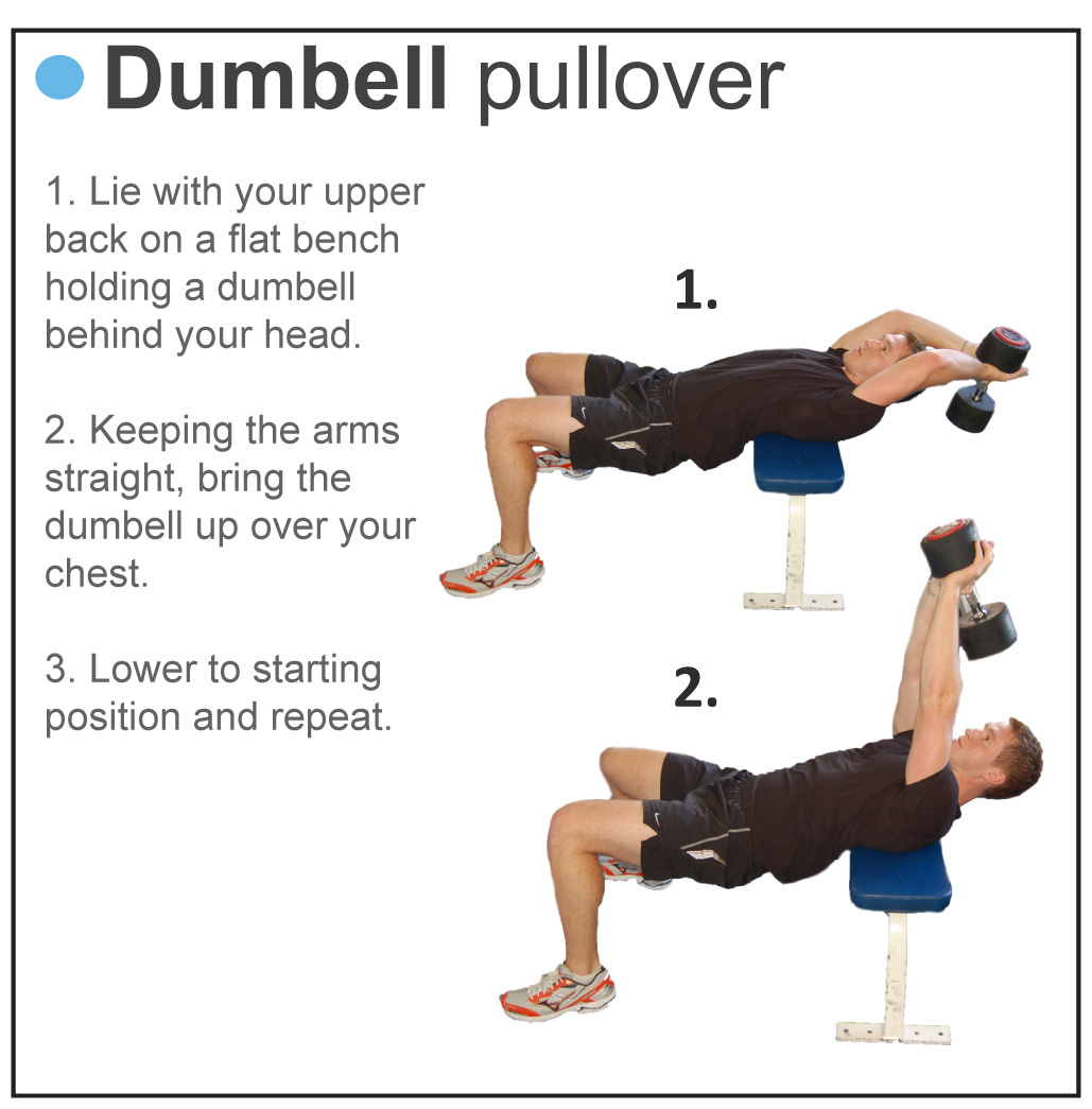 dumbbell pullover chest form dumbbell pullover chest form