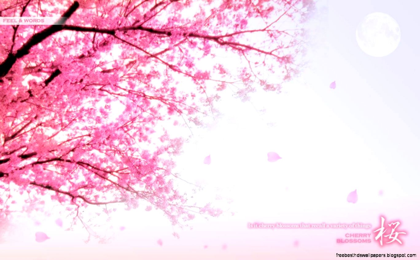Pretty Wallpaper HD HD Wallpapers Pretty Wallpaper HD HD Wallpapers