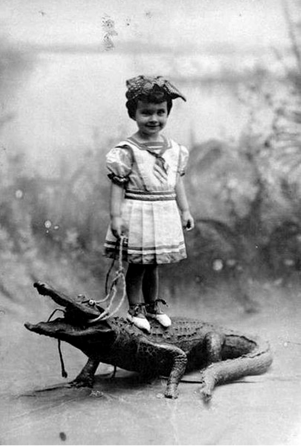 20 Strange and Adorable Vintage Photos of Animals From The Past