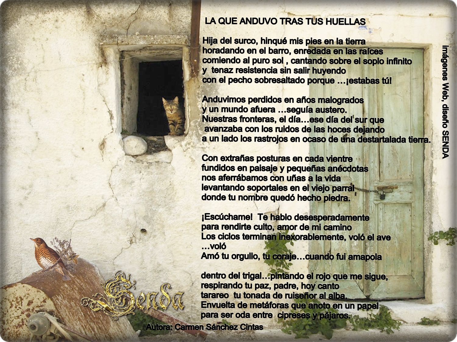 Resultado de imagen de gifs de huellas CARMEN