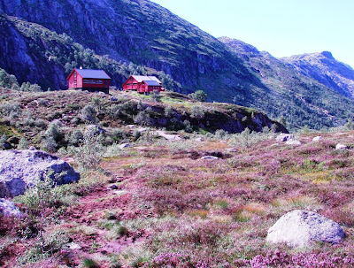 sommer+2013+p%C3%A5+Bl%C3%A5fjellenden.j