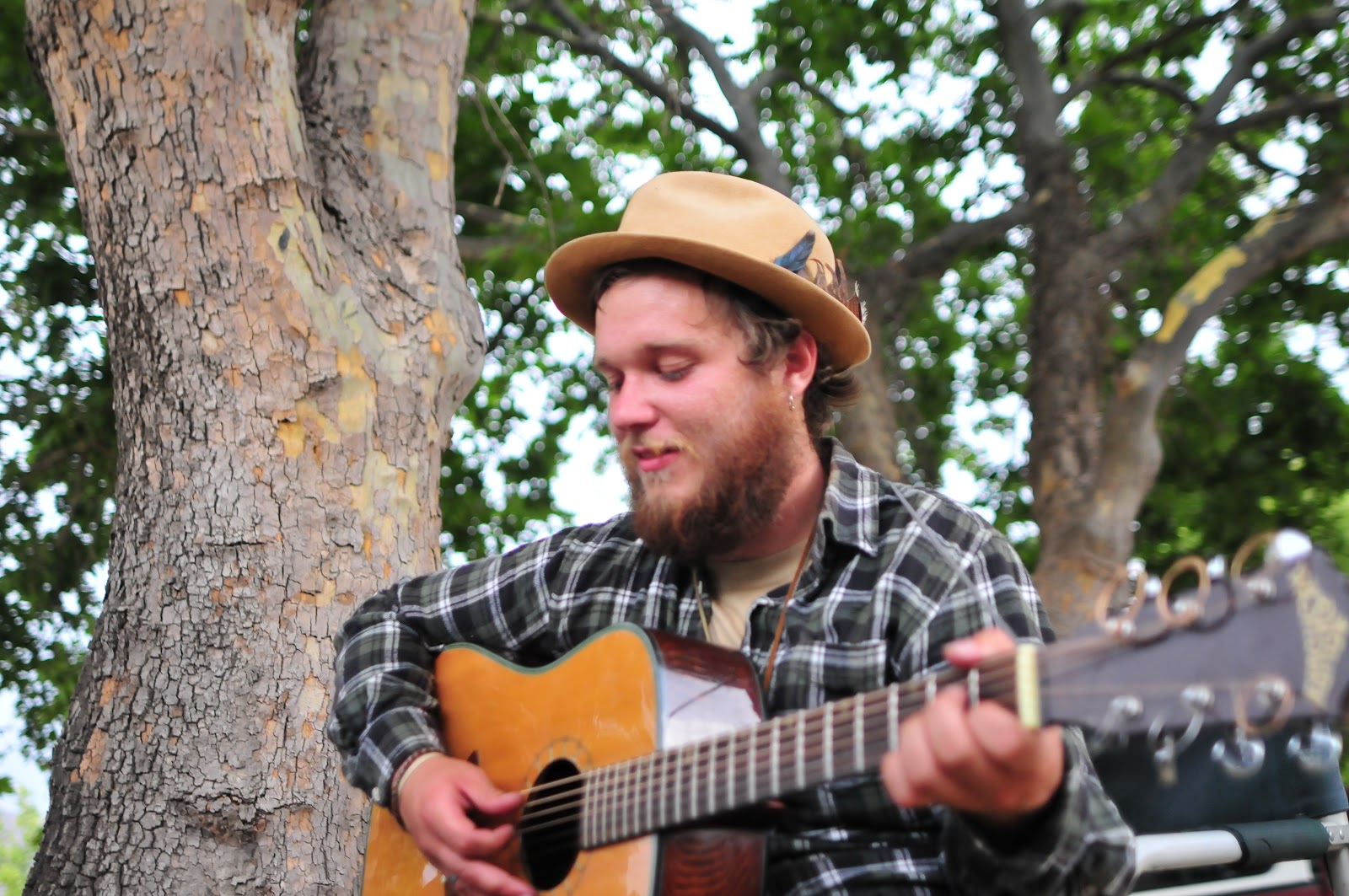 The Swimming Buffalo Rufus, Oregon