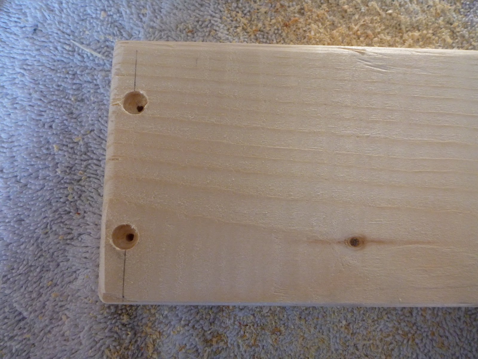 the cynical cyclist Bookshelf Project