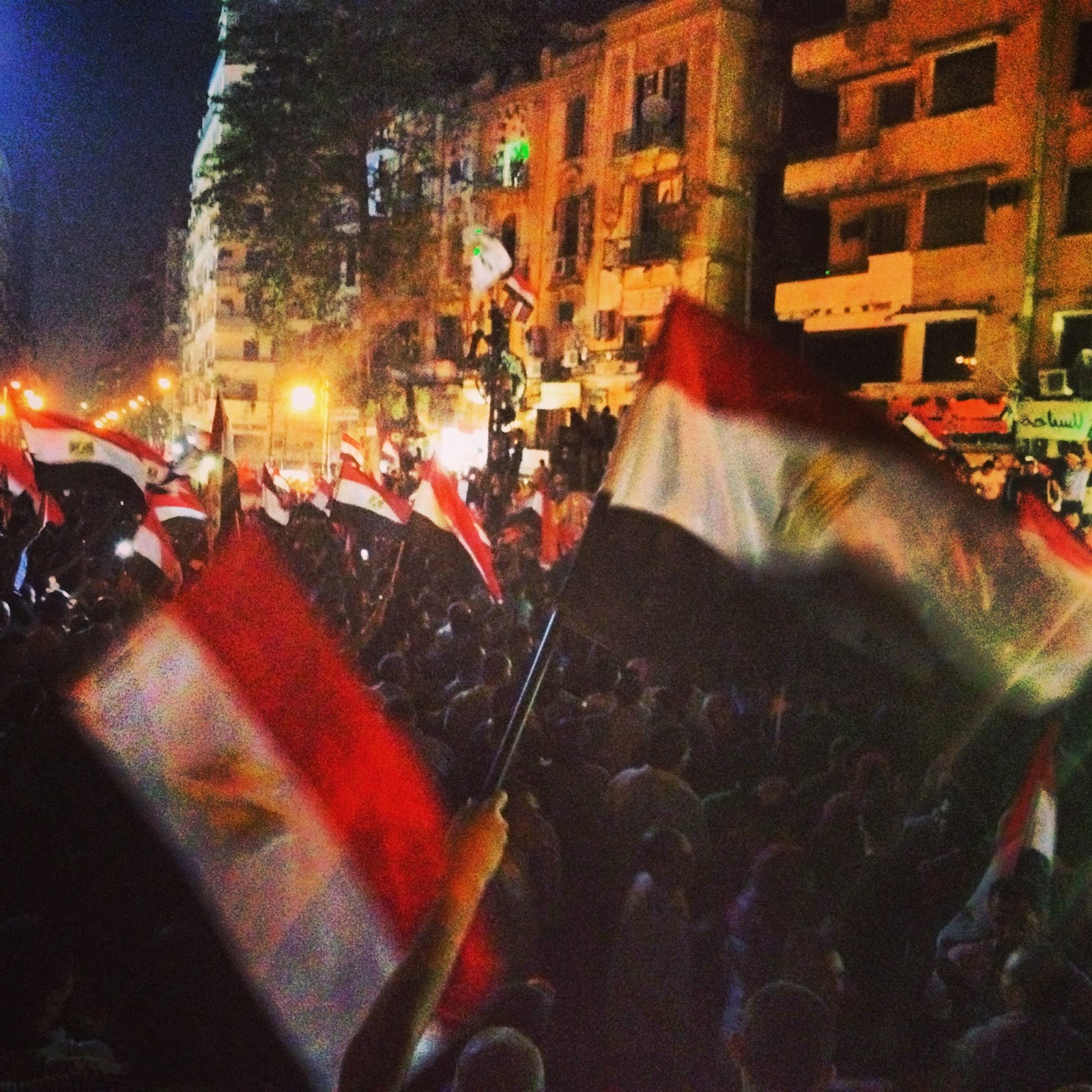 Behind the Revolution June 30th First Anniversary