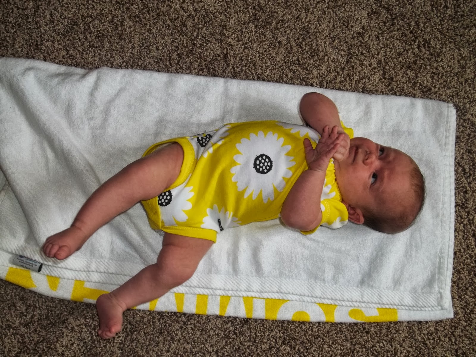 There's a Double Meaning In That: October 2013