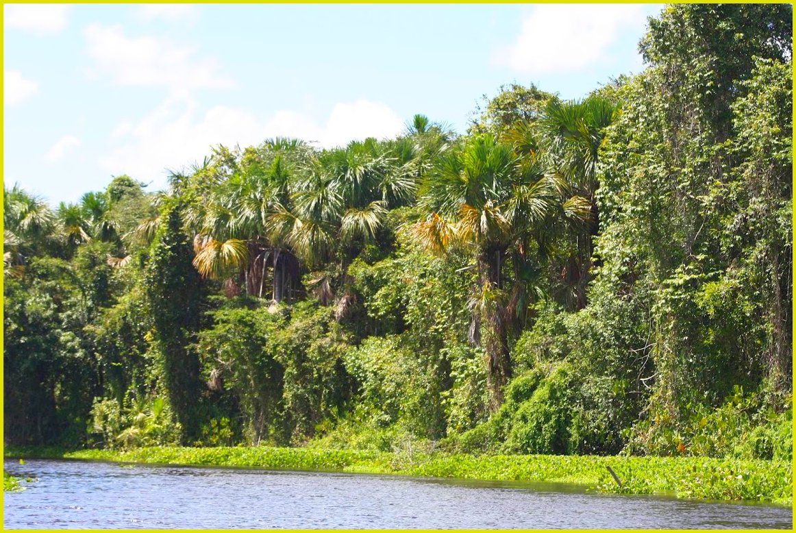 Sea Nomads vor Anker, Isla de Patos, Beachparty