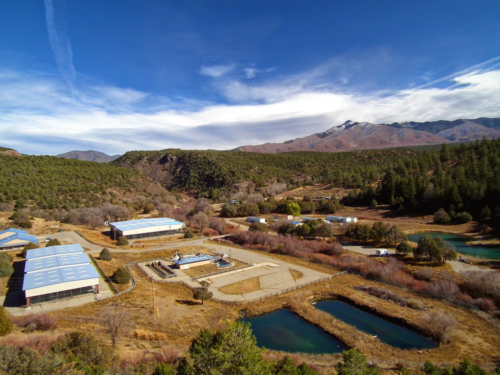 Questa Lumber at Justin Gonzalez blog