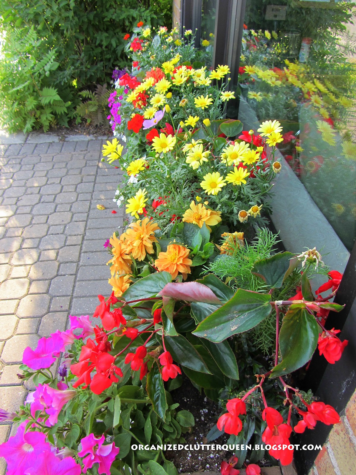 The Prettiest Window Box in Town Organized Clutter