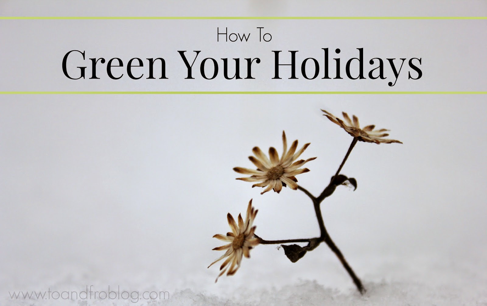 15 Ways to Green Your Holidays To & Fro